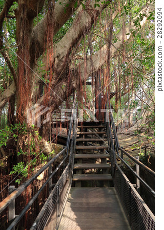 Hiroyuki Tokuho·安平樹店台南 28292094