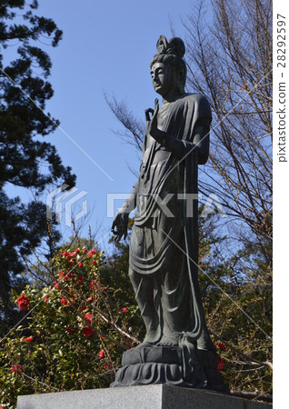 Plum Blossoming Flower Temple Yamanashi Plum Blossoming Flower Temple Yamanashi 28292597