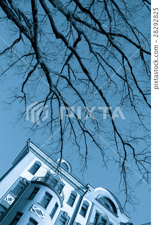 Bare Tree branches over blue sky and facade of 28292825
