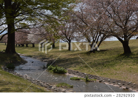 Shingen breakwater spring is Yamanashi Shingen breakwater spring is Yamanashi 28292910