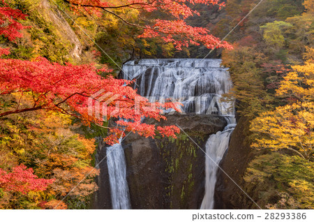 Fukurodon Falls Autumn leaves 28293386