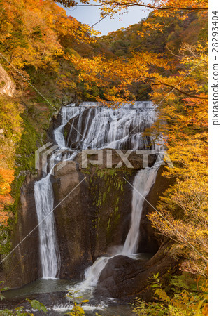 Fukurodon Falls Autumn leaves 28293404