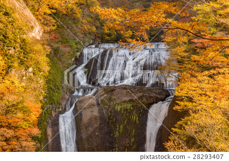 Fukurodon Falls Autumn leaves 28293407
