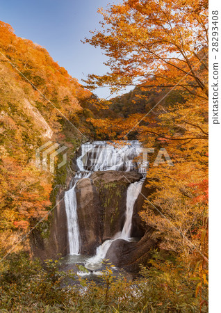 Fukurodon Falls Autumn leaves 28293408