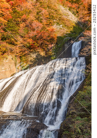 Fukurodon Falls Autumn leaves 28293412