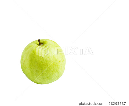 Guavas isolated on white with clipping path Guavas isolated on white with clipping path 28293587
