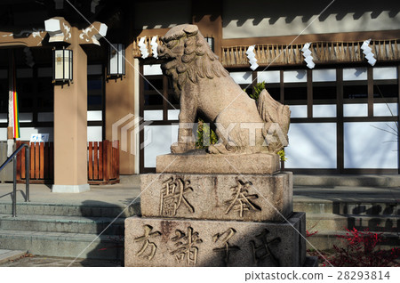 Kagami Hoshi神社的監護犬-2 Kagami Hoshi神社的監護犬-2 28293814