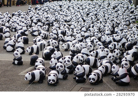 貓熊軍團 貓熊軍團 28293970