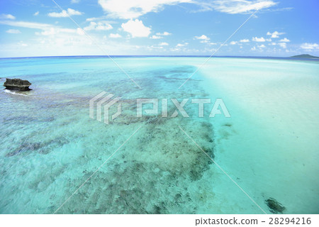 [Okinawa Prefecture Miyakojima] Blue coral sea 28294216