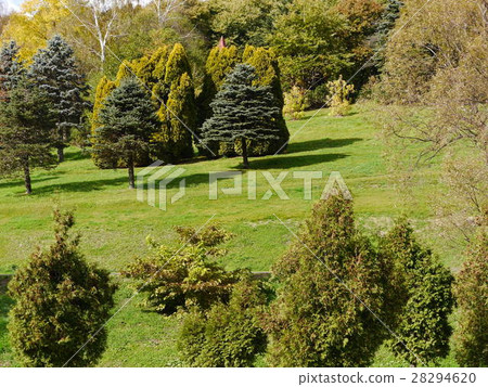 Hokkaido landscape 28294620