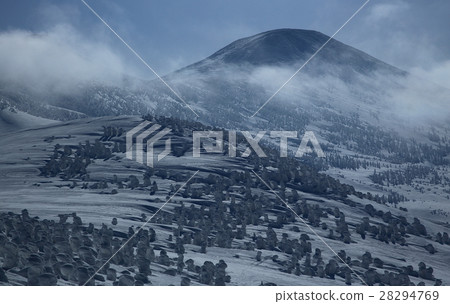 Hakkoda in winter 28294769