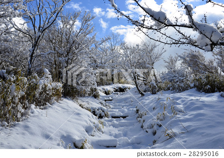Shizuoka Aitaku mountain peak highest peak "Echidendake in winter" Shizuoka Aitaku mountain peak highest peak "Echidendake in winter" 28295016