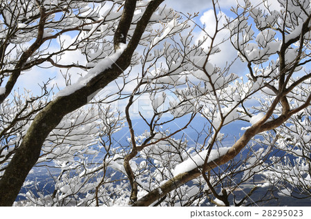 Shizuoka Aitaku mountain peak highest peak "Echidendake in winter" 28295023