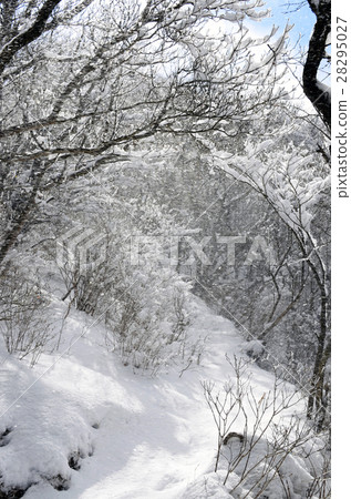 Shizuoka Aitaku mountain peak highest peak "Echidendake in winter" 28295027