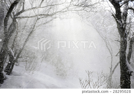 Shizuoka Aitaku mountain peak highest peak "Echidendake in winter" 28295028