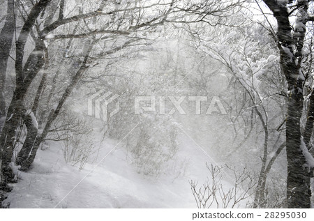 Shizuoka Aitaku mountain peak highest peak "Echidendake in winter" 28295030