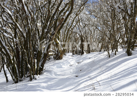 Shizuoka Aitaku mountain peak highest peak "Echidendake in winter" 28295034