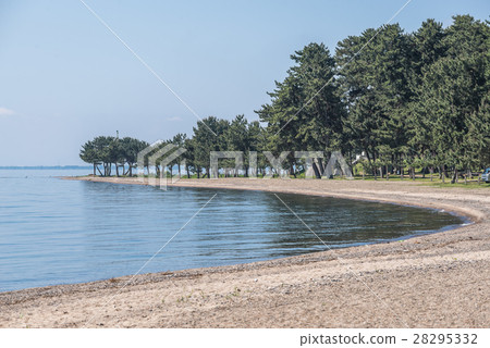 觀看彎曲的海灘琵琶湖和沙灘和杉木森林的風景 28295332