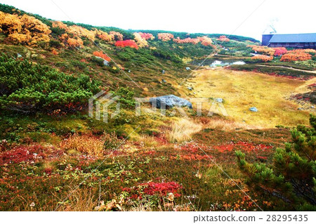 Asahi-dake in late autumn 28295435