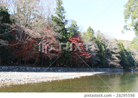 五十鈴河流經伊勢神宮 28295598