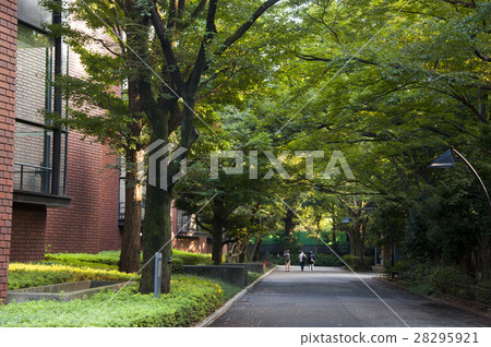 東京藝術大學,Tokyo University of the Arts,東京藝術大学 東京藝術大學,Tokyo University of the Arts,東京藝術大学 28295921