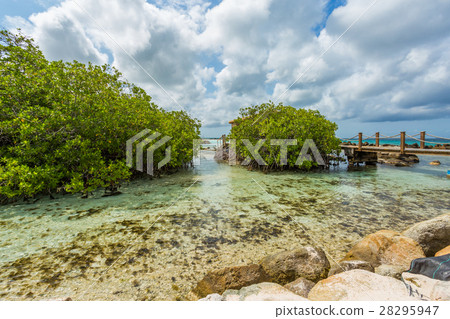 Flamingo beach at Aruba island 28295947