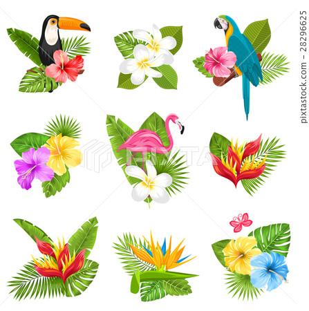 Set Composition with Tropical Flowers, Exotic Bird Set Composition with Tropical Flowers, Exotic Bird 28296625