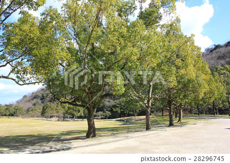 Kitakyushu-shi Yamada Green Area 28296745