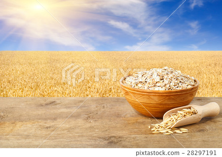 oatmeal in bowl on nature background oatmeal in bowl on nature background 28297191
