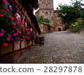 Flowers and castle 28297878
