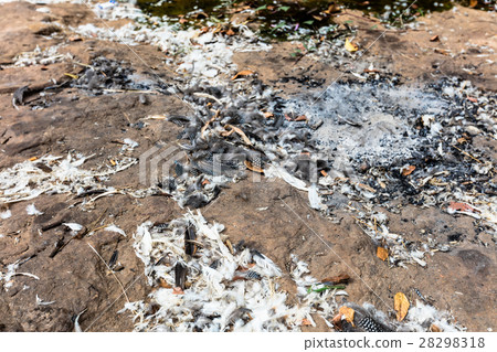 animist site in Burkina Faso animist site in Burkina Faso 28298318