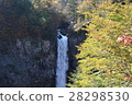 Kegon Waterfall at the beginning of autumn leaves 28298530