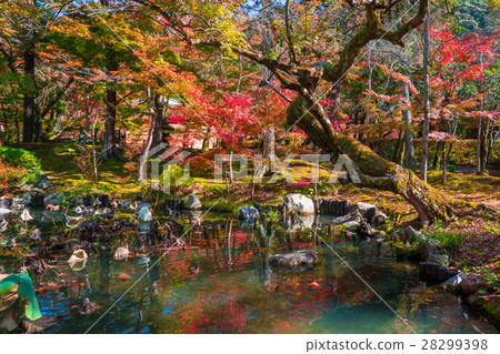 Autumn leaves at Eikando, Kyoto Autumn leaves at Eikando, Kyoto 28299398