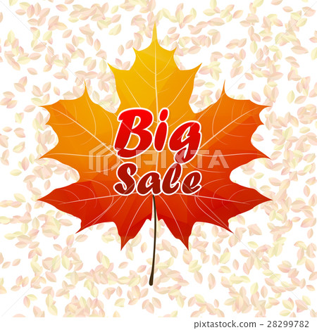 Autumn sale typography poster. plus EPS10 28299782