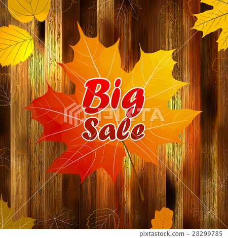 Autumn sale wood and Leaves poster. plus EPS10 28299785