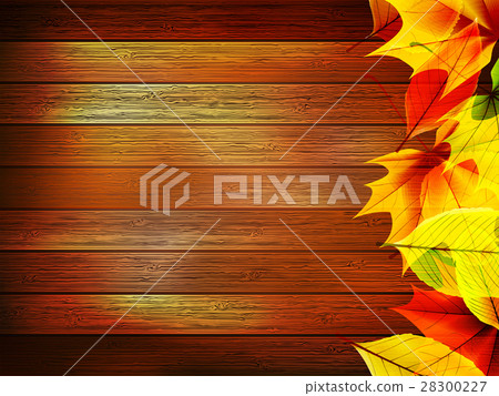 Autumn leaves over old wooden. plus EPS10 Autumn leaves over old wooden. plus EPS10 28300227