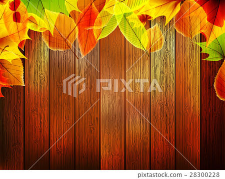 Autumn leaves over old wooden. plus EPS10 Autumn leaves over old wooden. plus EPS10 28300228