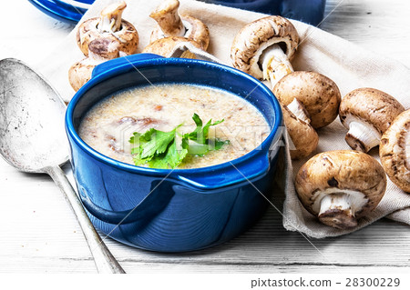 Mushroom creamy soup Mushroom creamy soup 28300229