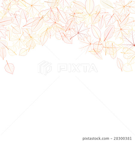 Autumn leaves on white background. plus EPS10 28300381