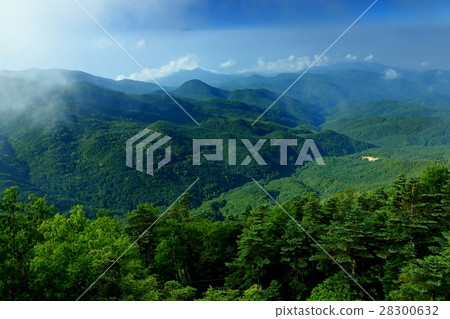 從Oku Chichibu,Oyado Pass和Mt.之間的山脊線看到的富士山。 從Oku Chichibu,Oyado Pass和Mt.之間的山脊線看到的富士山。 28300632