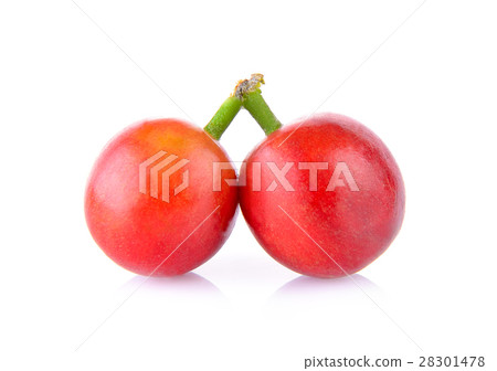 ripe coffee beans on white background 28301478