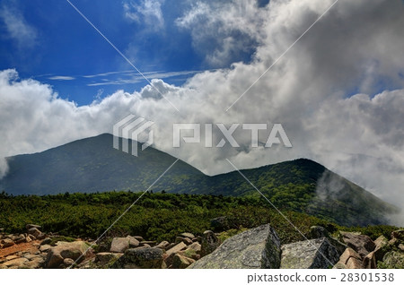 從金山山Oku秩父主山脊線看到的雲 28301538