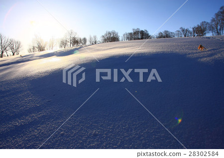 Morning snowy field ~ Winter scenery of Horaiishi 28302584