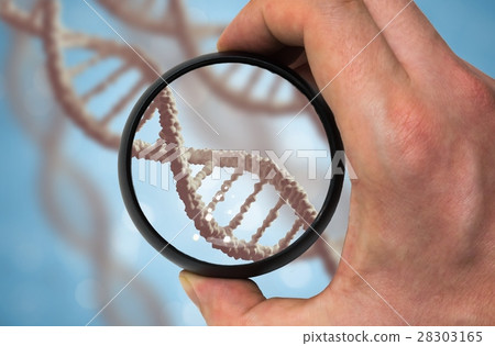 Scientist examinates DNA molecule. Scientist examinates DNA molecule. 28303165