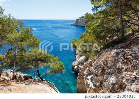 Calanques of Port Pin in Cassis, Provence, France 28304015