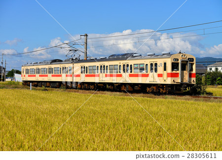 105 series going autumn sunny Sakurai line 28305611