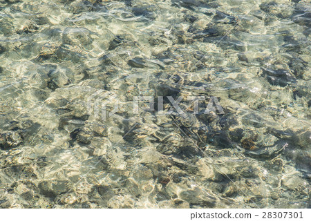 red sea background. water background. turquoise 28307301