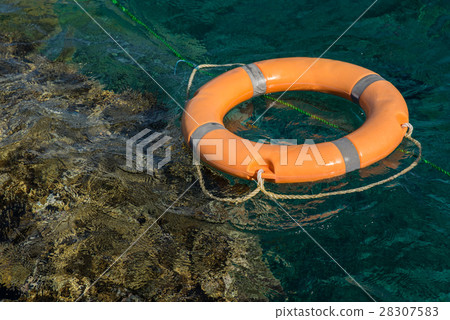 lifeline in the red sea near coral reef lifeline in the red sea near coral reef 28307583