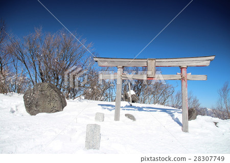 Black cypress god of god Black cypress god of god 28307749