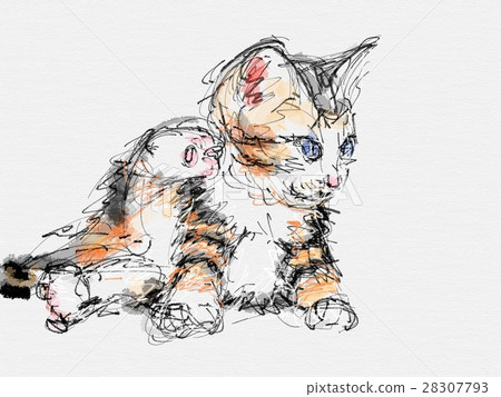 Cat Illustration Cat Illustration 28307793